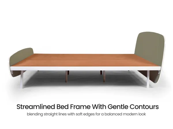 Olivix Queen Bed with 4 inches Mattress
